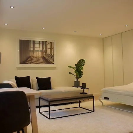 Fully Renovated Studio Flat With Own Parking * لوكسمبورغ